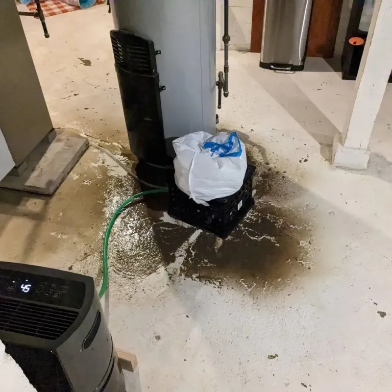 Sewage Backup Cleanup Service in Cold Spring, KY